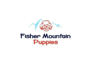 Fisher Mountain Puppies