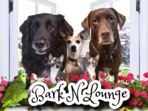 Bark N Lounge Pet Resort 