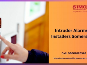 Intruder Alarms Installers Somerset