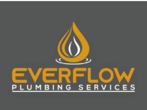 Everflow Plumbing Services