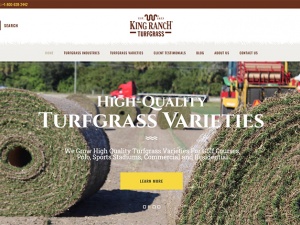 King Ranch Florida Turfgrass