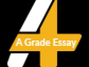 A Grade Essay Writing Service