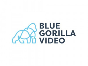 Blue Gorilla Video