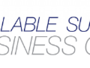 Scalable Sustainable Business Growth (SSBG)