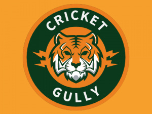 Cricket Gully