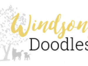 Windsong Doodles LLC