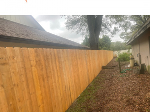 Fence Contractor Clearwater FL