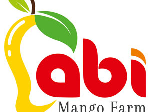 Order Mangoes Online In Tamilnadu From Abi's Baske