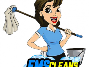 Flows metropolian Cleaning Services 