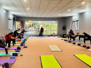 Discover Serenity at Vedic Yog Kendra