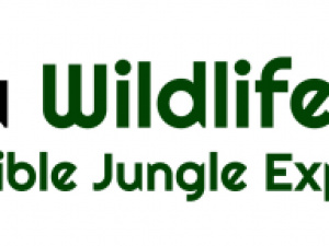 Manu jungle tours