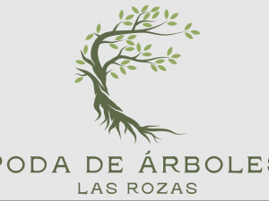 Poda de árboles Las Rozas