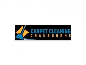 Professional Carpet Cleaning Services