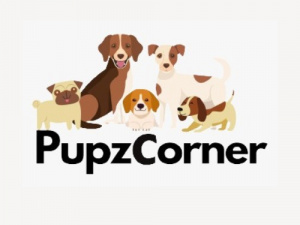Welcome to Pupz Corner, where we value the wonderf