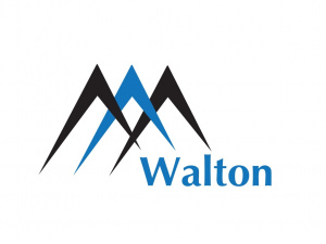 Walton Management Services