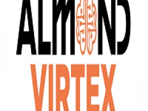 Virtual Event Platform India | Almond Virtex