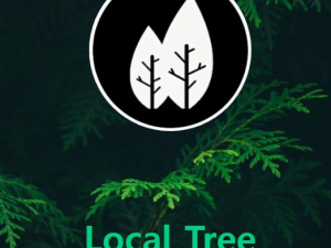 Local Tree Services