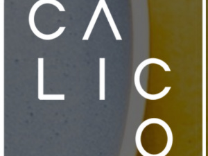 Calico - Cafe, Restaurant, Pizza & Bar