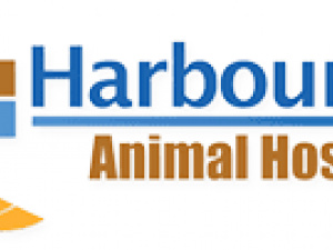 Harbourside Animal Hospital