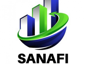 Sanafi SEO