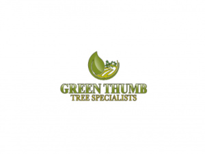 Green Thumb Tree Specialists Inc.
