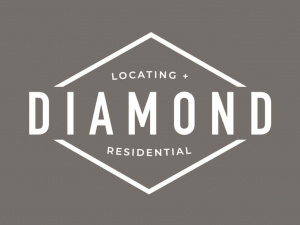 Diamond S Group