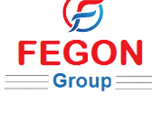 Fegon Group - 8445134111 - Internet Security