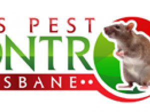 Rat Pest Control Brisbane