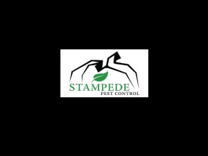 Stampede Pest Control