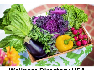 wellness and health blog directory