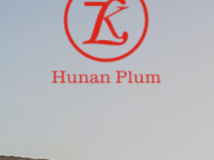 Hunan Plum Mechanical and Electrical Technology Co