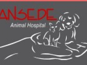 Ansede Animal Hosptial