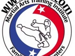 The Martial Arts Training Institute (MATI)