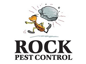 Rock Pest Control