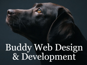 Buddy Web Design & Development