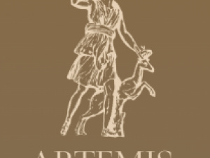 Artemis Wealth Advisors, LLC