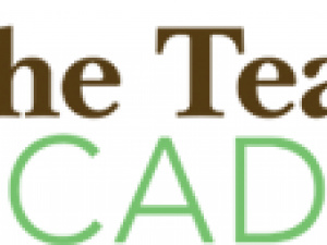 The Teachers Academy, LLC