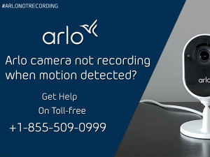 Why is my Arlo camera not recording motion?