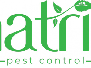 Pest Control Company Bakersfield Ca