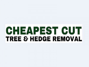 Cheapest Cut Tree & Hedge Removal