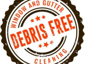 Debris Free Window & Gutter Cleaning