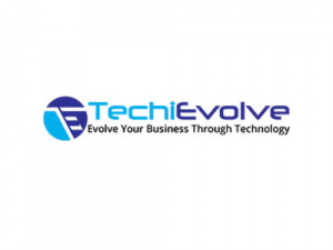 TechiEvolve Inc. (Head Office)