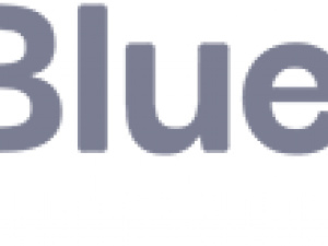 Bluehat Marketing