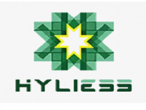 Hunan Hyliess New Energy Technology Co. LTD