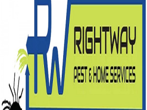 RightWay Pest & Home Services