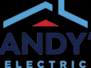 Randy's Electric