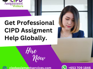 Assignment Help UK