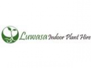 Luwasa Indoor Plant Hire