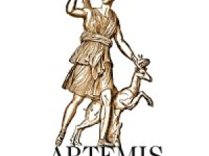 Artemis Wealth Advisors USA