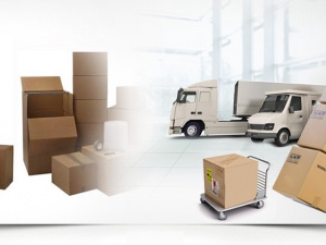 The Global Logistics Partner: international Cargo 